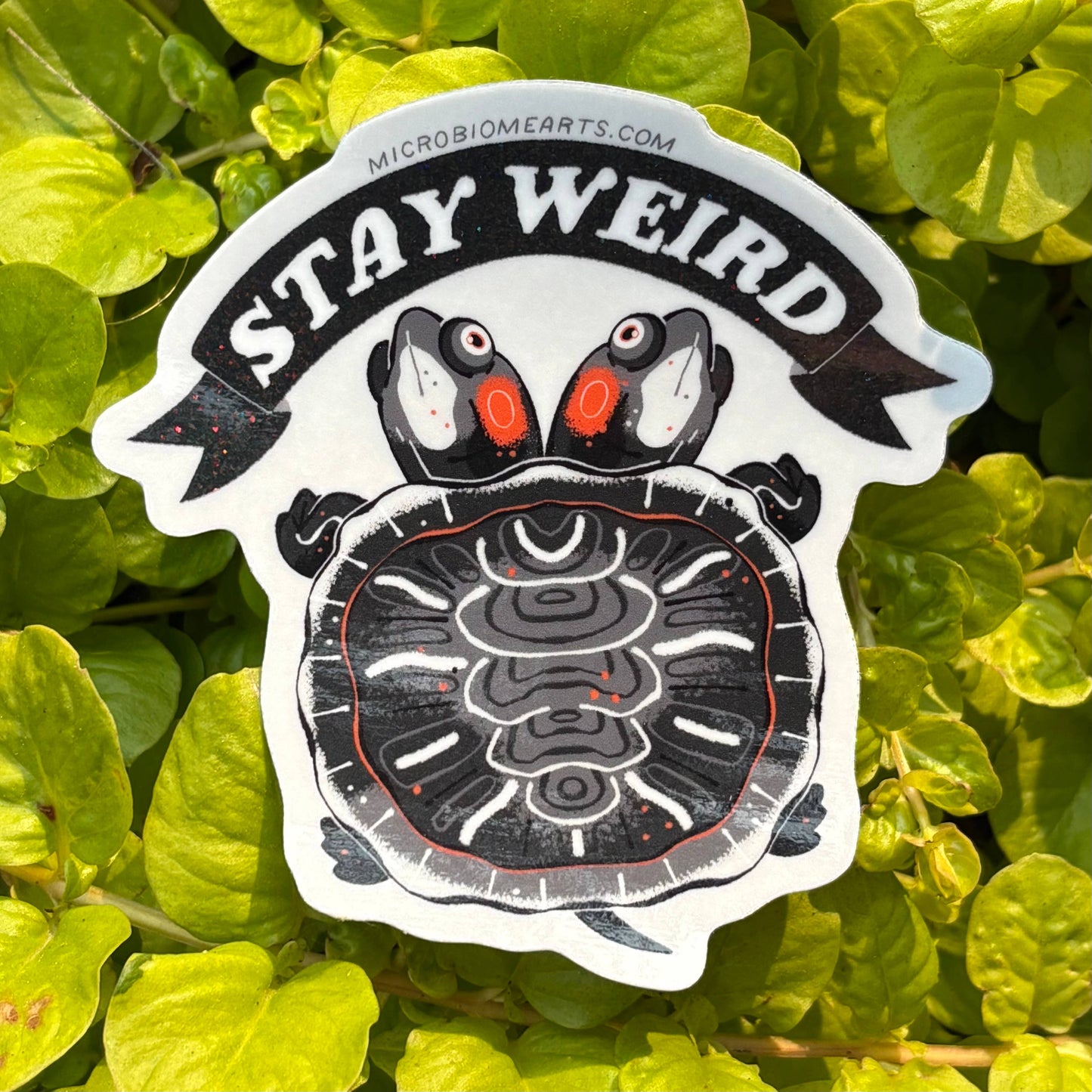 Stay Weird 3” Two Headed Turtle Holographic Sticker