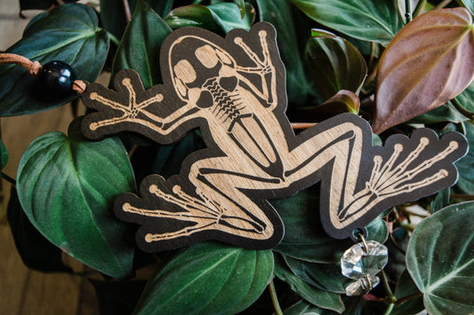Black Frog Skeleton Wooden Ornament Wall Hanging Suncatcher