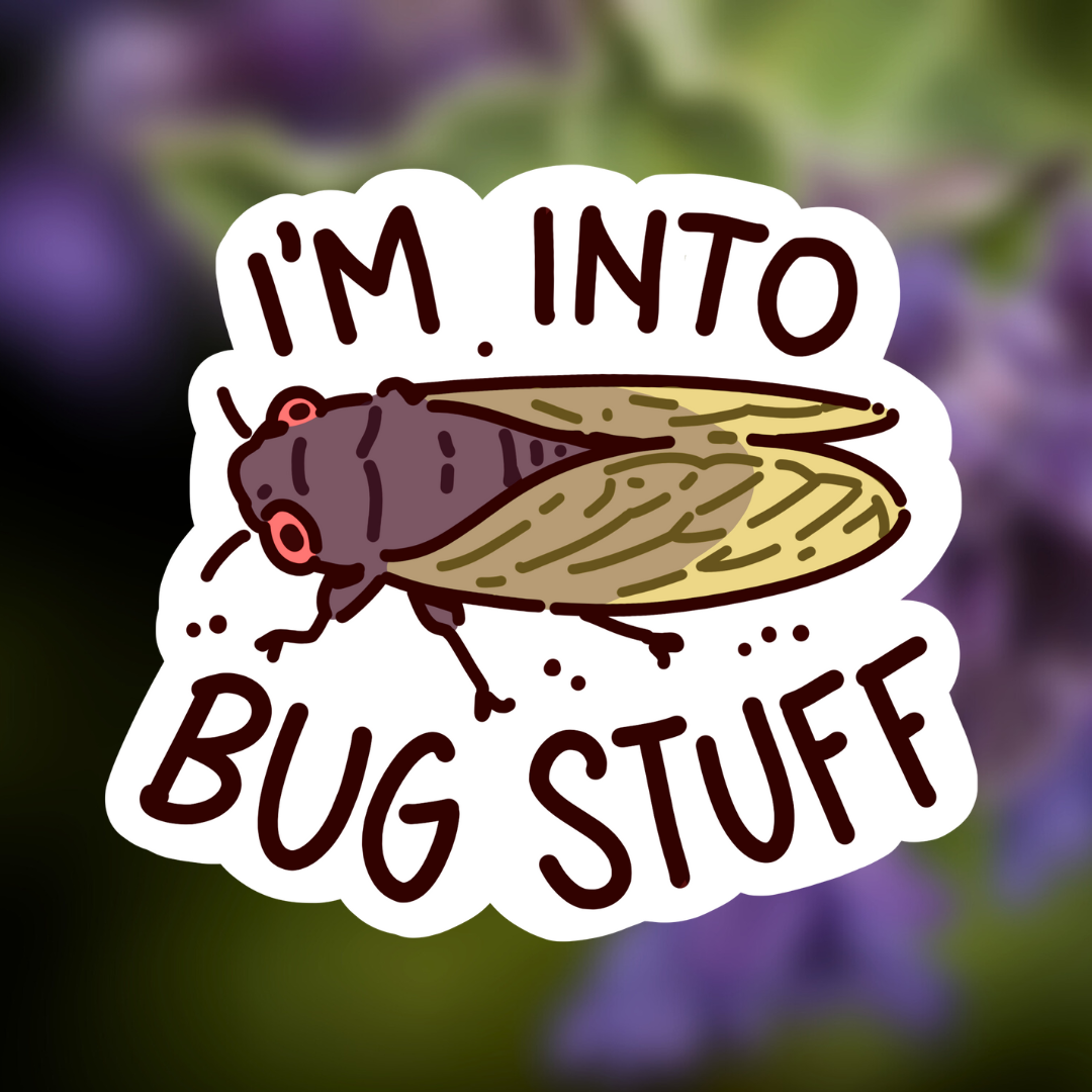 Bug Stuff Sticker