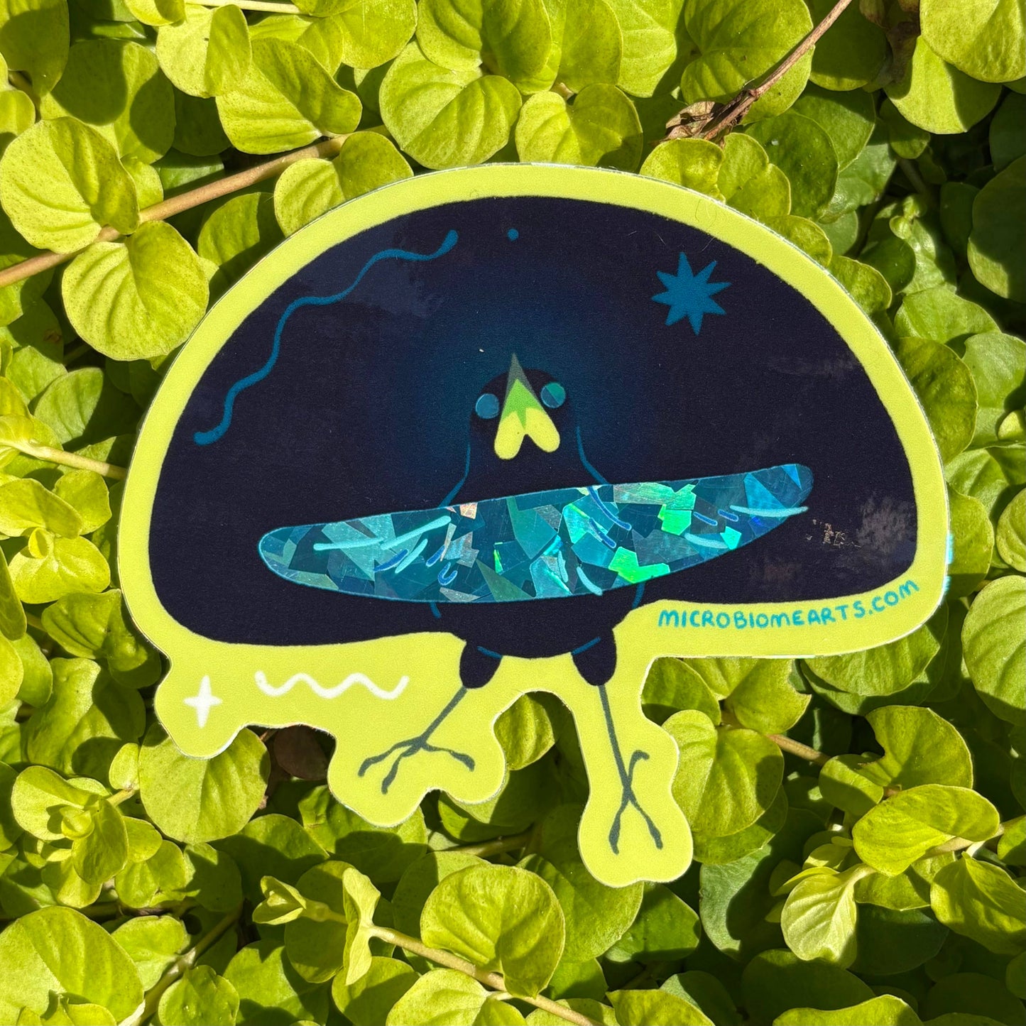 Superb Bird Of Paradise Holographic 3” Sticker