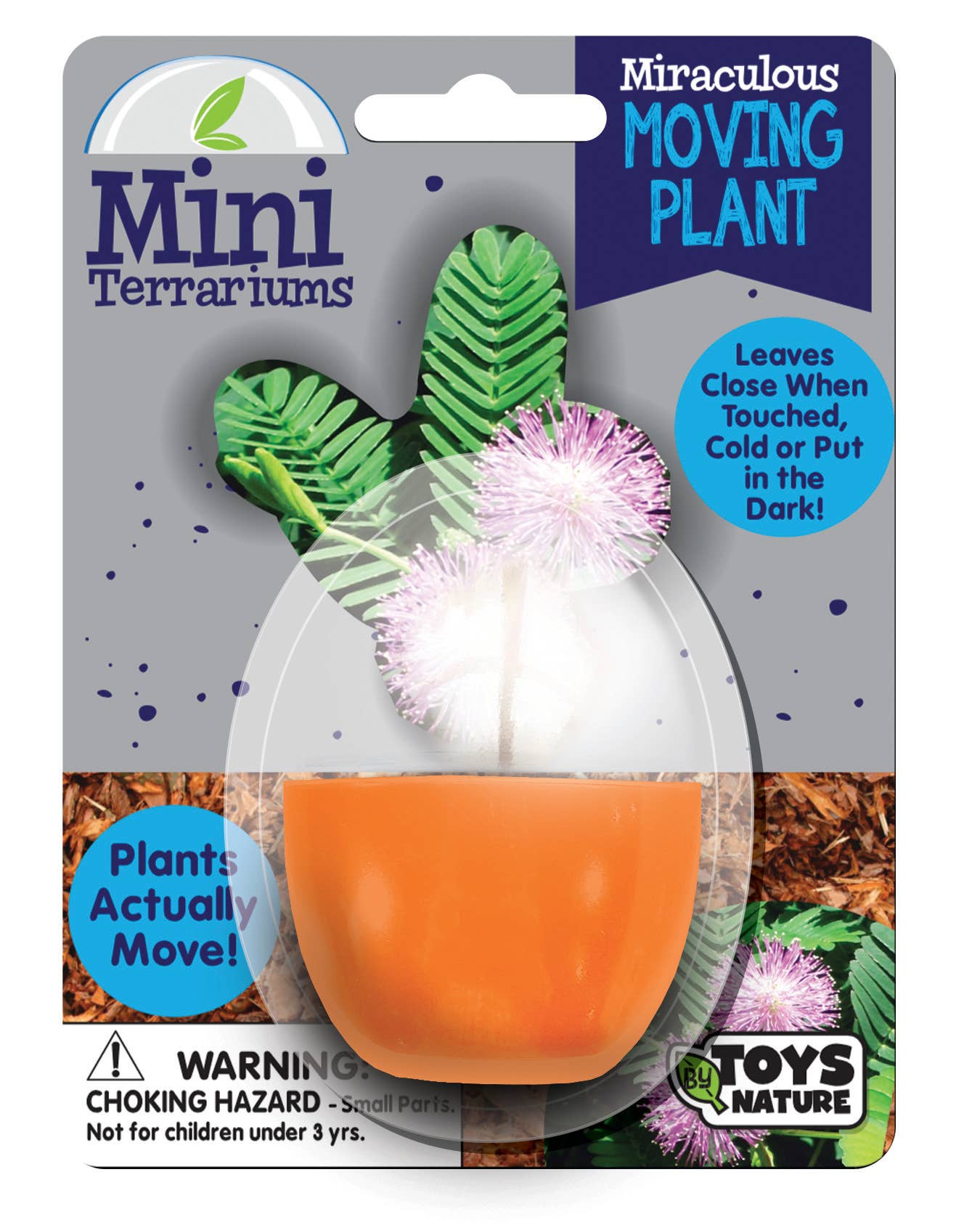 Miraculous Moving Plant Mini Terrarium