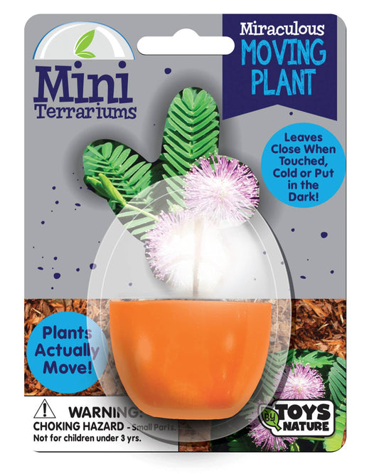 Miraculous Moving Plant Mini Terrarium