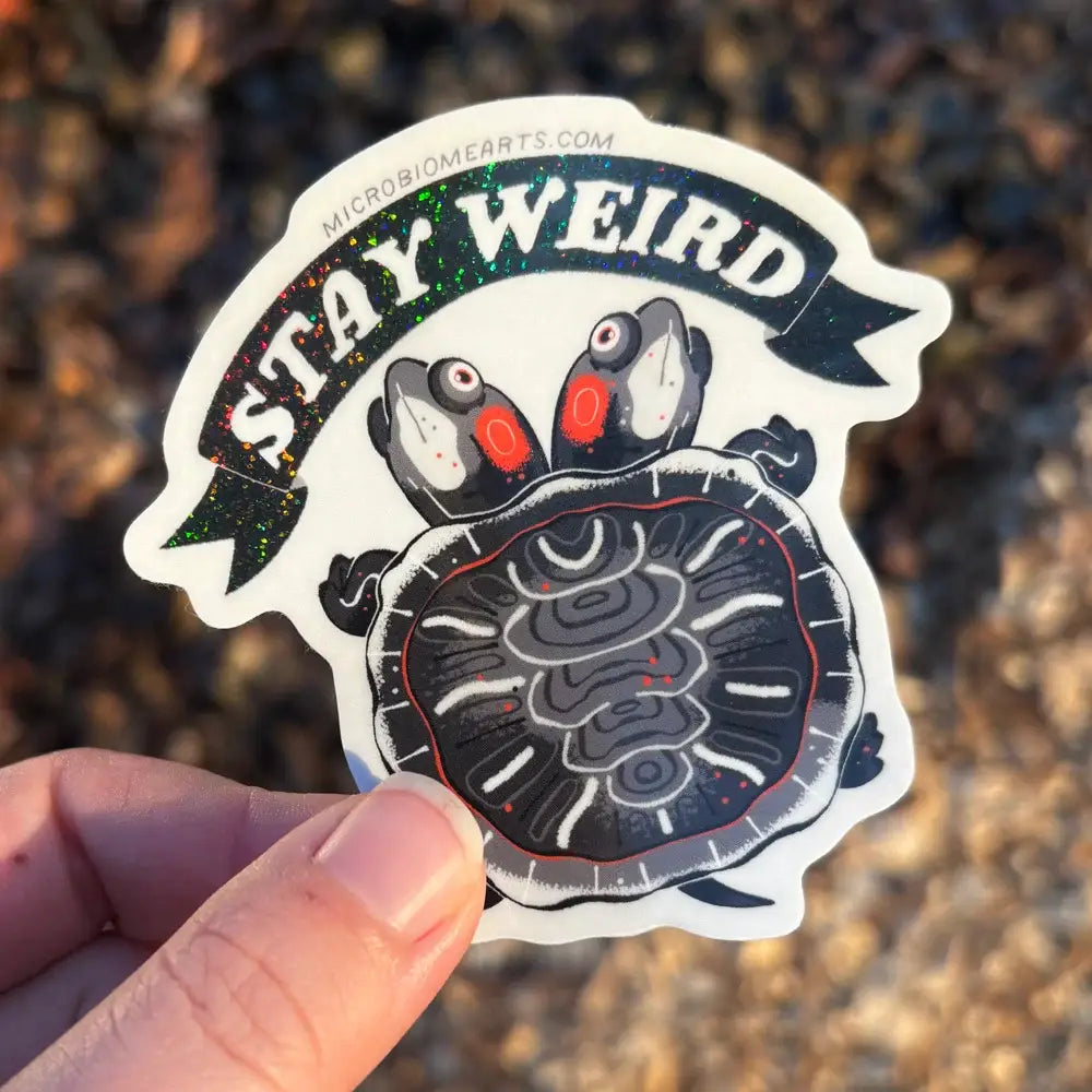 Stay Weird 3” Two Headed Turtle Holographic Sticker