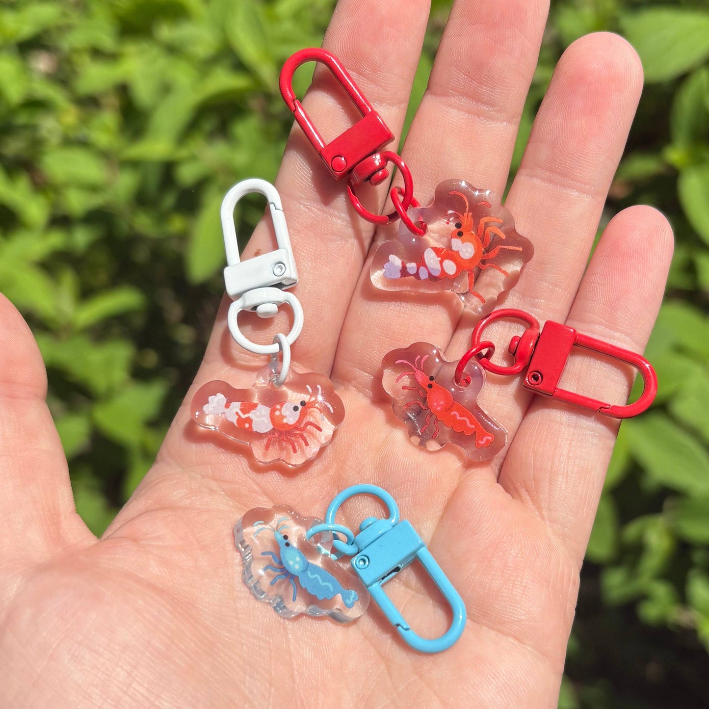 Miniature Shrimp 1” Acrylic Charms