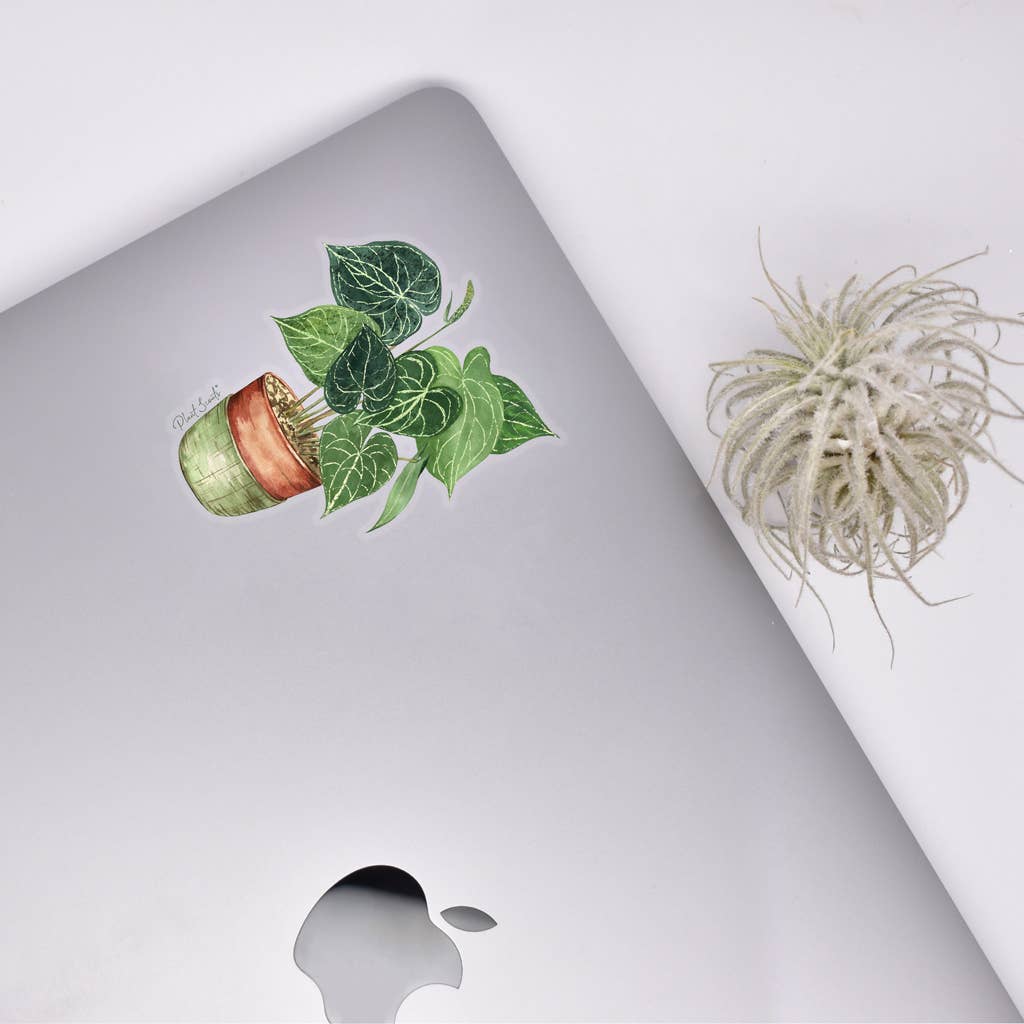 Anthurium Clear Sticker House Plant Plant Shop Products