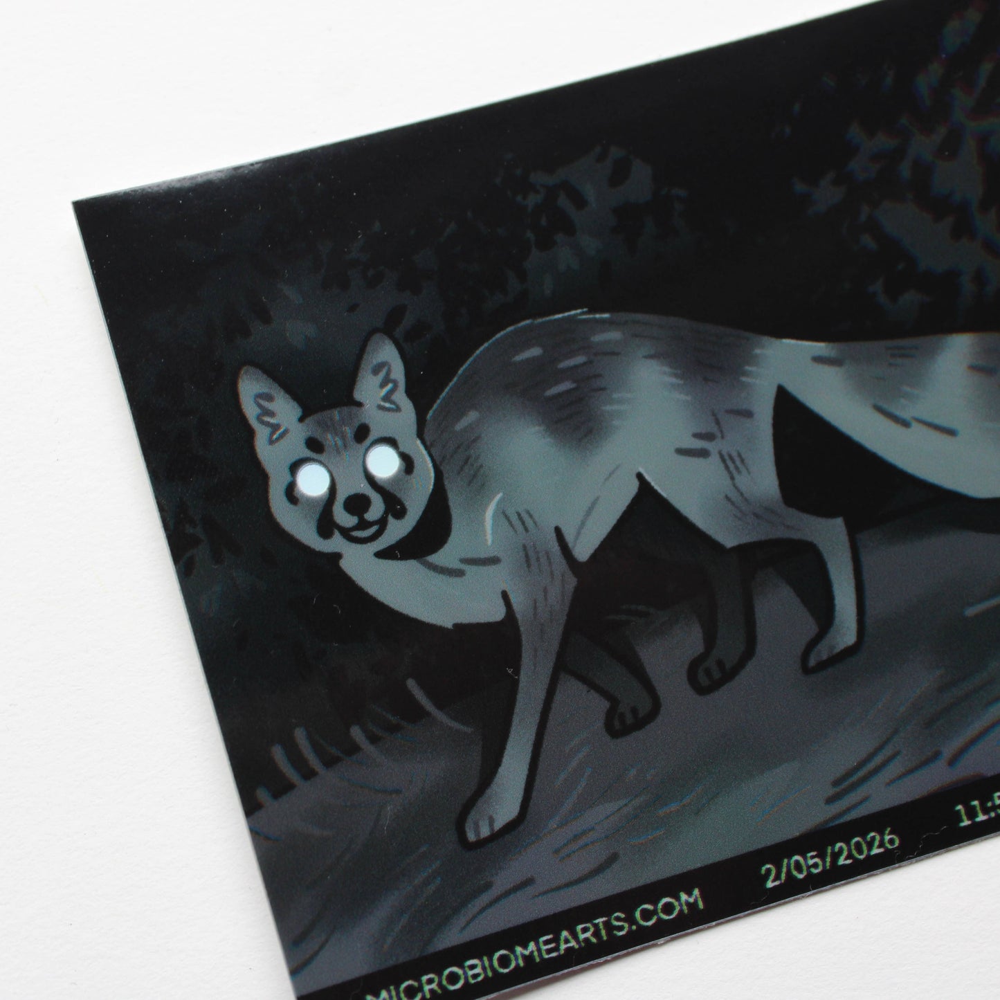 Trail Cam Fox Holo 3.5” Sticker
