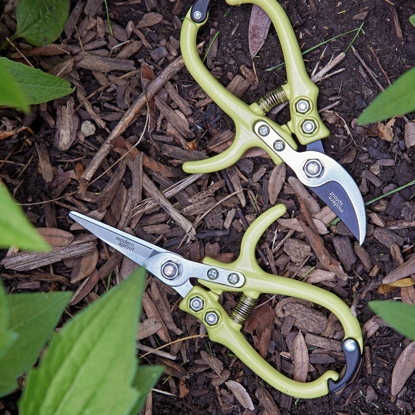 New Colors! Garden Shears