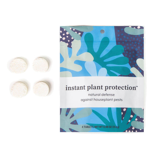Natural Houseplant Pest Control - Peppermint Leaf Spray