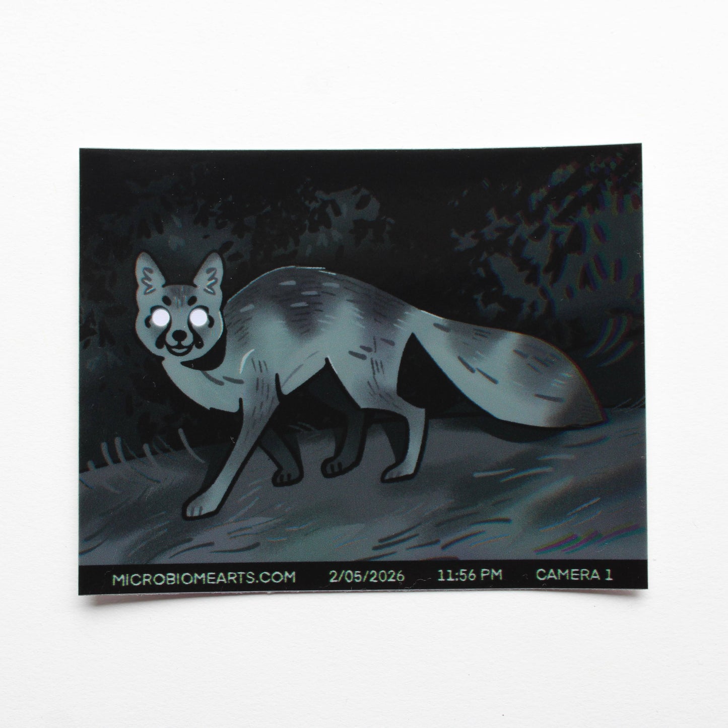 Trail Cam Fox Holo 3.5” Sticker