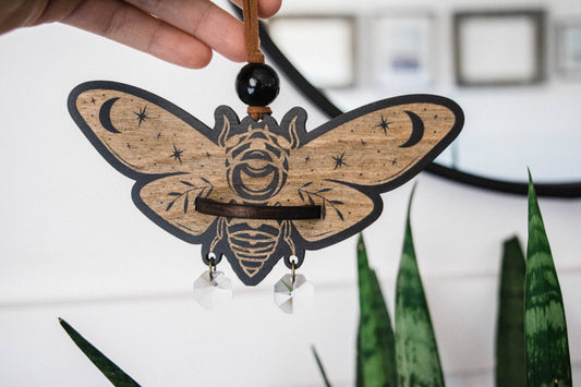 Cicada Airplant Holder Hanging Mini Suncatcher: Without Airplant / Stained Black