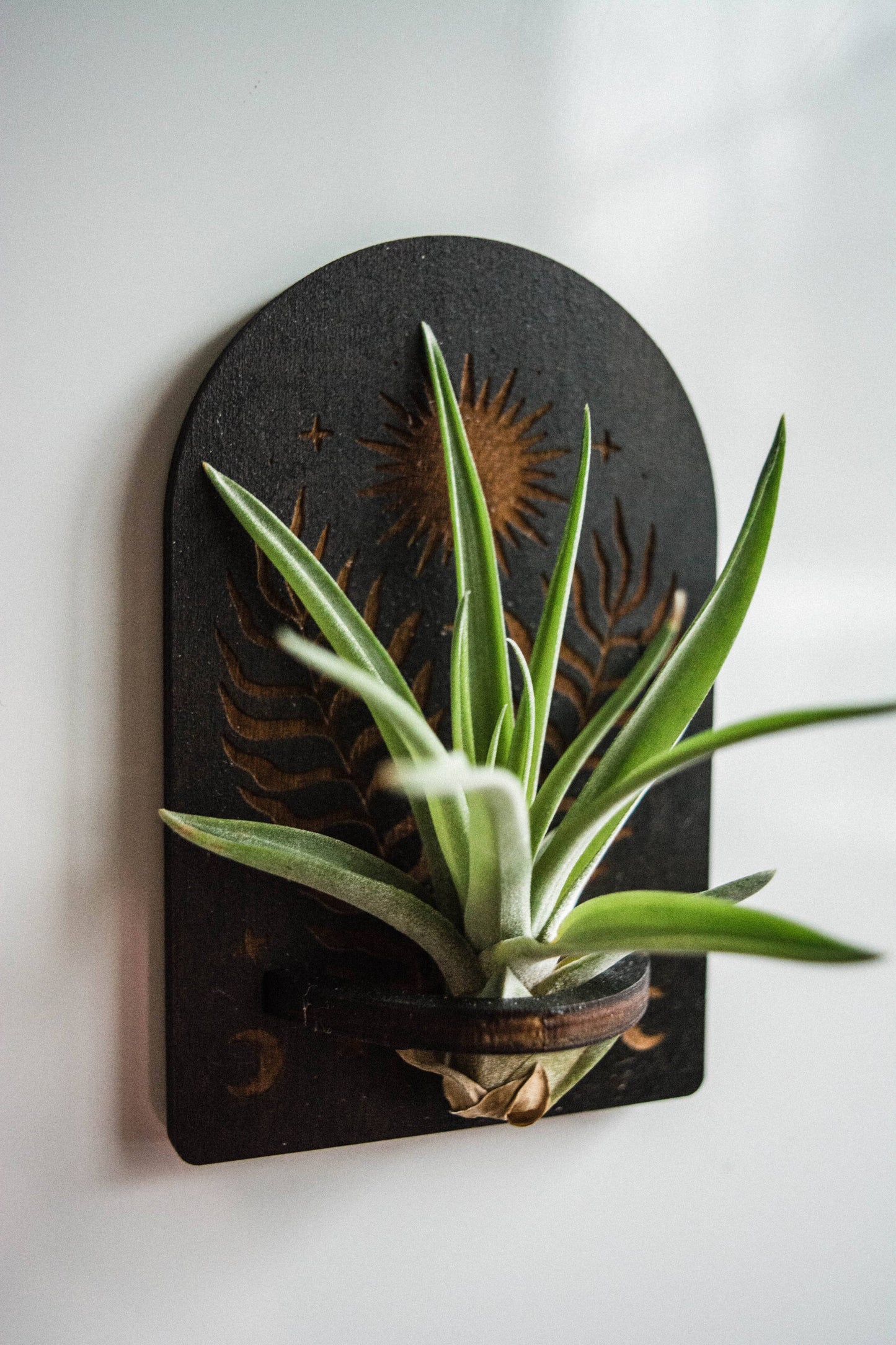 Sun, Moon, Stars & Ferns Wooden Airplant Holder Magnet: Without Airplant / Natural Wood