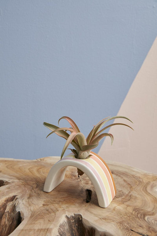 Hope Airplant Holder