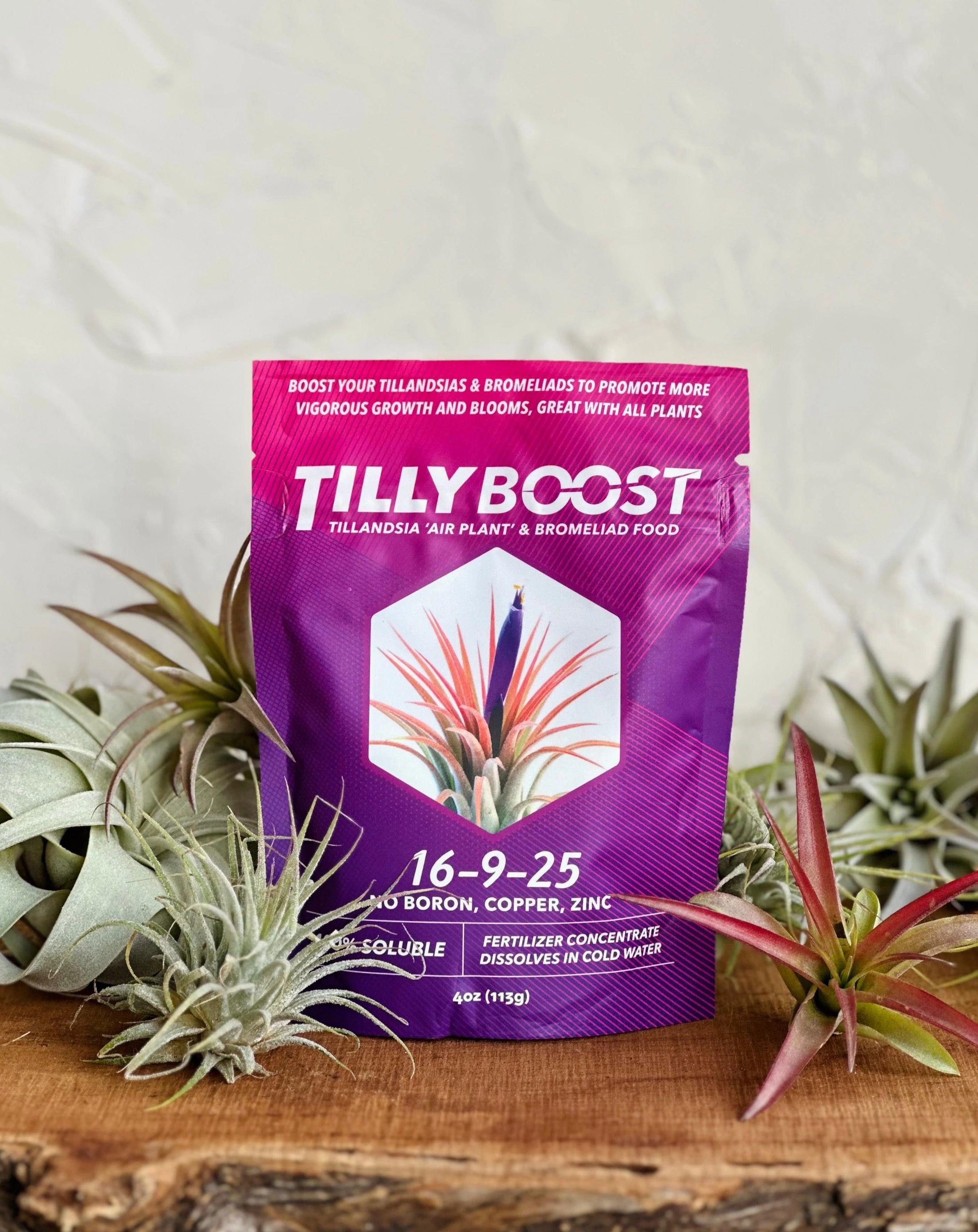 grow more air plant fertilizer Tilly Boost Airplant Fertilizer 4oz